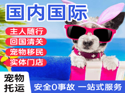 吉安空运国际宠物托运 【国
